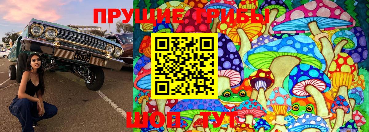 Галлюциногенные грибы ЛСД  Галлюциногенные грибы мицелий  Сухой Лог  Вход с VPN 